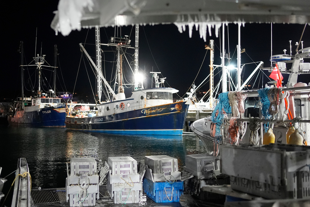 Fishing boats are tied up in Gloucester, Mass., the home port of a vessel that that went missing at sea with seven people aboard, Friday, Jan. 30, 2026. (AP Photo/Robert F. Bukaty)