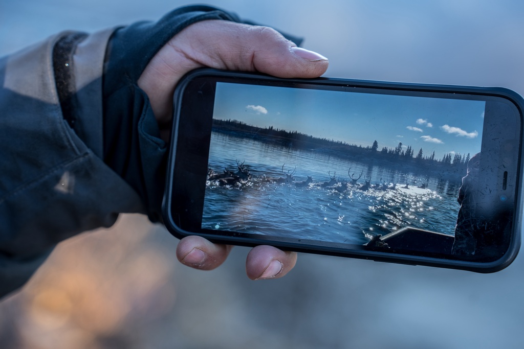 Tristen Pattee shows a photo on his phone from the same day in 2021 of caribou migrating through the same spot near Ambler, Alaska, Tuesday, Sept. 30, 2025. (AP Photo/Annika Hammerschlag)