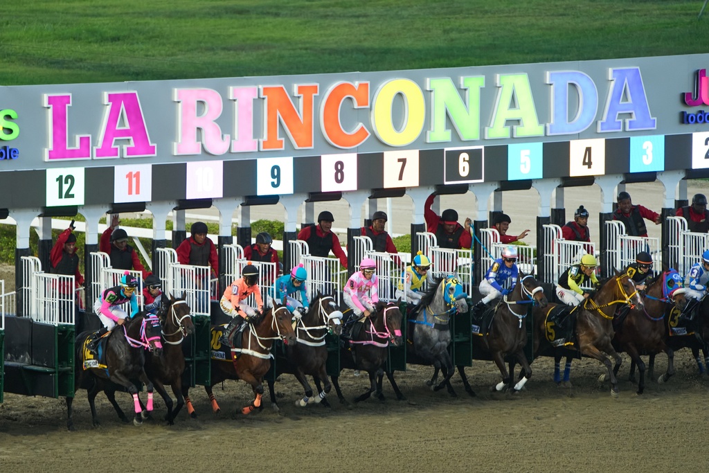 Jockeys launch from the starting gate during the 56th Jockey Challenge at Rinconada racetrack in Caracas, Venezuela, Sunday, Dec. 14, 2025. (AP Photo/Arian Cubillos)