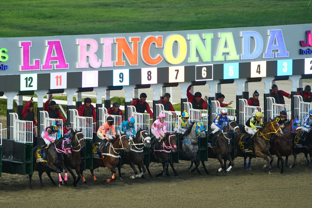 Jockeys launch from the starting gate during the 56th Jockey Challenge at Rinconada racetrack in Caracas, Venezuela, Sunday, Dec. 14, 2025. (AP Photo/Ariana Cubillos)