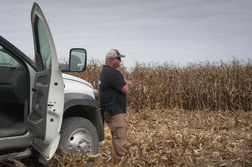 Kevin Cox stands in a cornfield on his farm where he grows soy as well, in Brazil, Indiana, Thursday, Oct. 16, 2025. (AP Photo/Obed Lamy) Kevin Cox stands in a cornfield on his farm where he grows soy as well, in Brazil, Indiana, Thursday, Oct. 16, 2025. (AP Photo/Obed Lamy)