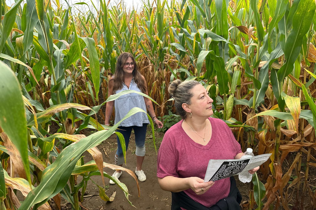 Jaime Wanzer, holding a map, and Wendy Mayerson navigate a 5-acre corn maze designed as a portrait of Dolly Parton at Twins BBQ Co. in Brookfield, Conn., Sunday, Sept. 13, 2026. (AP Photo/Ted Shaffrey)