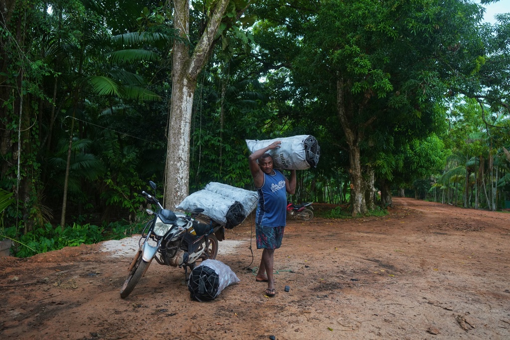 A man carries a charcoal sack to the harbor in Itacoa Miri, Brazil, Tuesday, Nov. 18, 2025, to be sent for sale in Belem. (AP Photo/Fernando Llano)