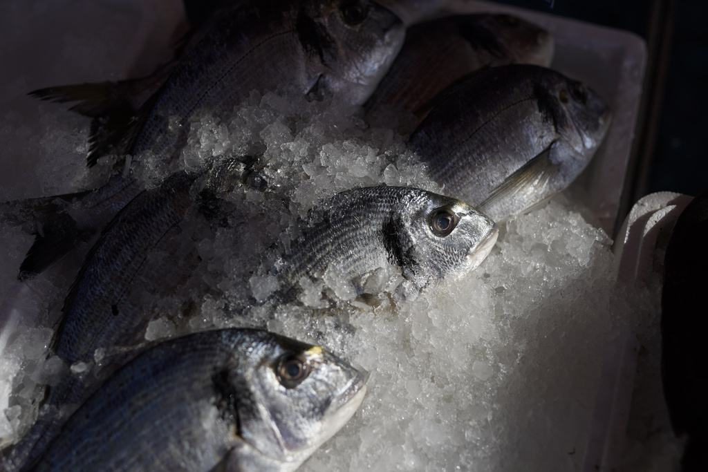 FILE - Fresh fish are packed in ice as they await purchase at a morning market in Nice, southern France, Friday, Feb. 11, 2022. (AP Photo/Daniel Cole, File)