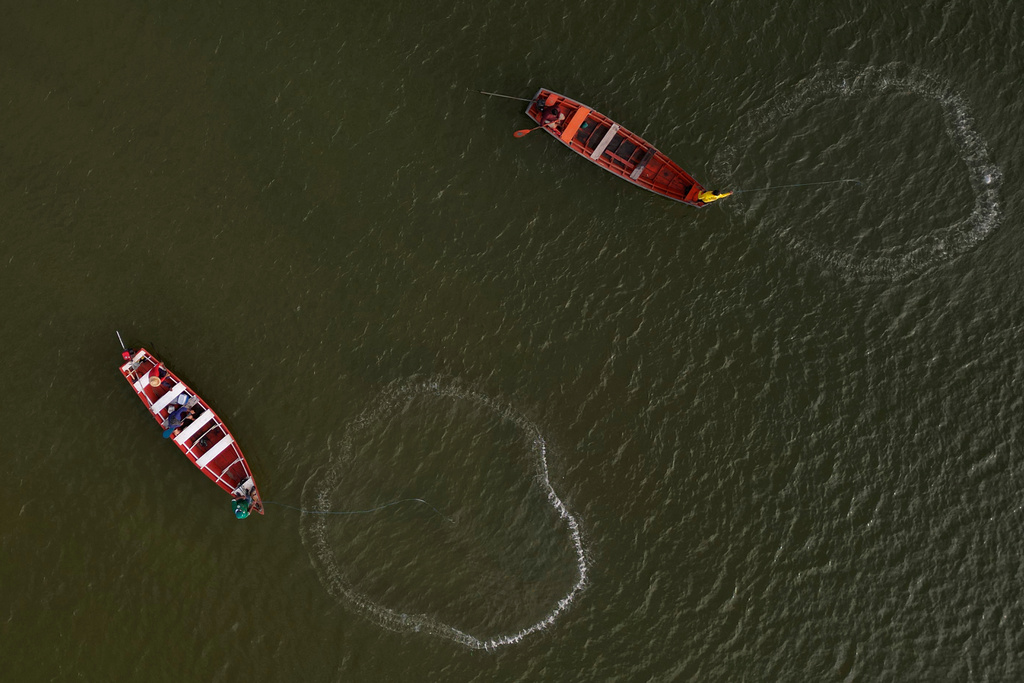 Fishing boats work from the Caju Una community fishing in the Porto stream, Marajo Island, Brazil, Saturday, Nov. 1, 2025. (AP Photo/Eraldo Peres)