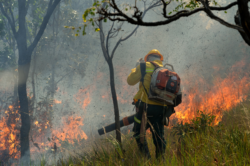 A Xerente Indigenous firefighter attends a controlled burn as part of a fire prevention operation along Brazil's environmental protection agency, IBAMA, at the Xerente territory, near Tocantinia, Tocantins state, Brazil, Tuesday, May 19, 2026. (AP Photo/Andre Penner)