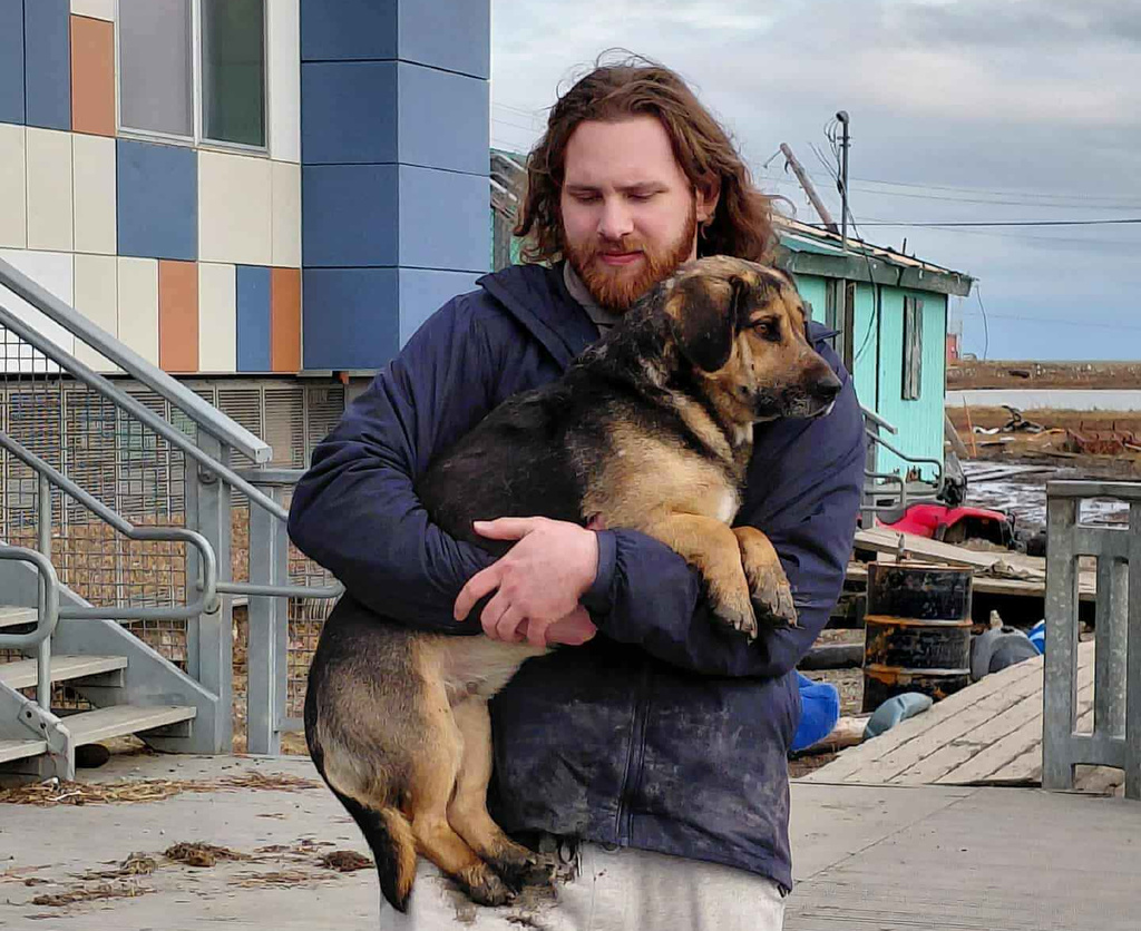 In this photo provided by Jacqui Lang, a dog is rescued in Kipnuk, Alaska, Wednesday, Oct. 15, 2025, to be flown to an animal shelter in Bethel, Alaska, as its owner had evacuated. (Jacqui Lang via AP)