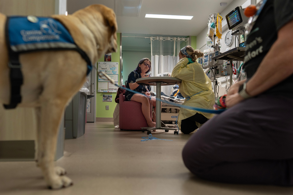 Schellie Scott, right, and her facility dog Hadley, left, look to Aspen Franklin, center left, from the hallway, because they couldn't go in so soon after her transplant, as they begin painting together at Cincinnati Children's Hospital in Cincinnati, Monday, May 4, 2026. (AP Photo/Carolyn Kaster)