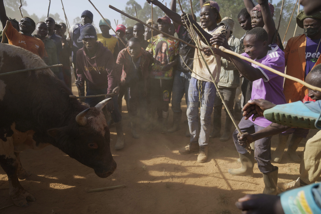 A crowd of spectators encircles a fighting bull during a bullfight in Kakamega, Kenya, Saturday, Nov. 29, 2025. (AP Photo/Brian Inganga)