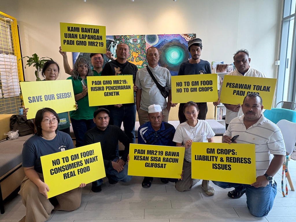 A coalition of farmers, consumer and environmental groups hold placards after a press conference at the Greenpeace office in Kuala Lumpur, Malaysia, Tuesday, Aug. 11, 2026. (AP Photo/Eileen Ng)