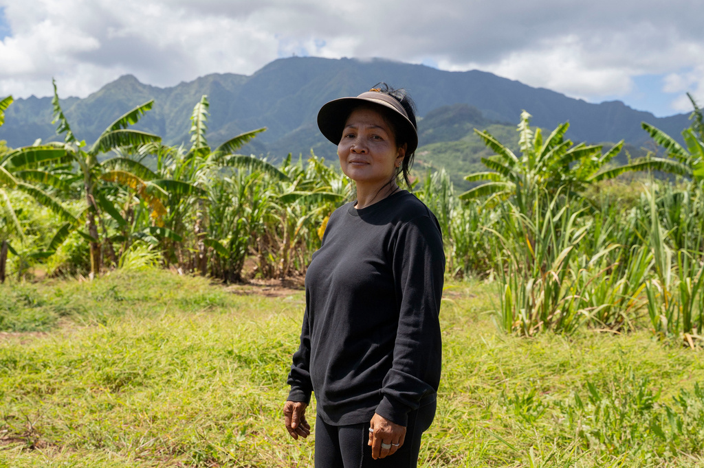 Jeni Balanay poses for a portrait at Bok Kongphan's farm, Monday, May 4, 2026, in Waialua, Hawaii. (AP Photo/Mengshin Lin)