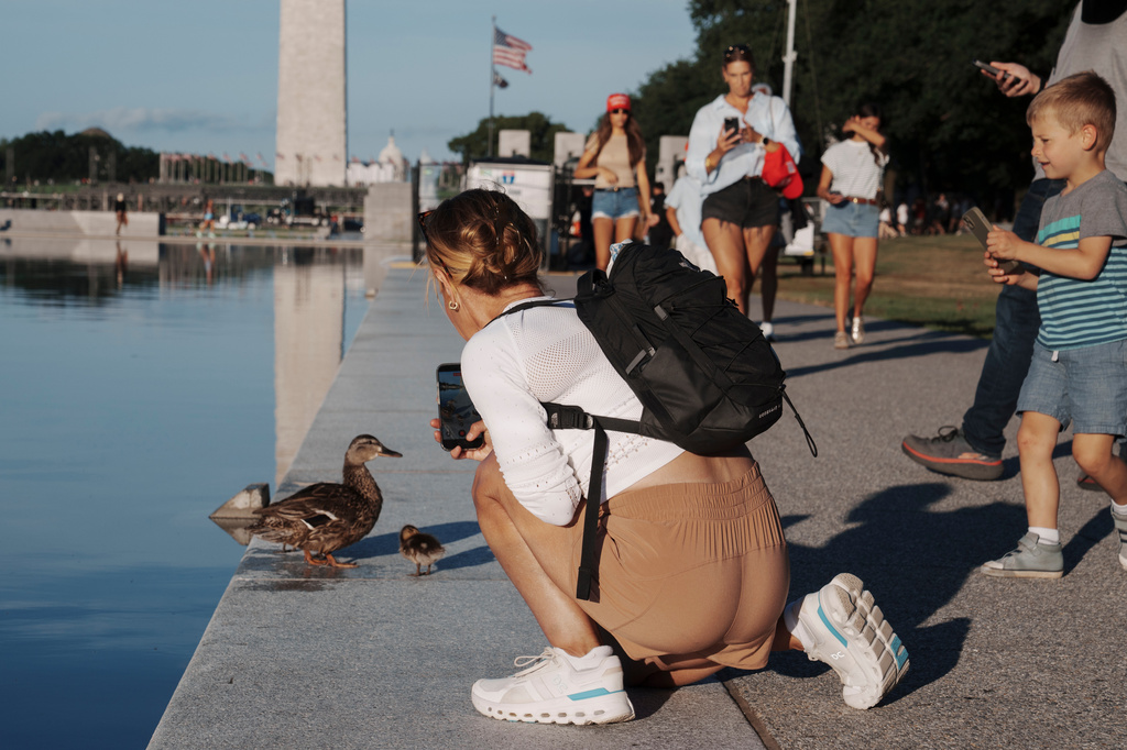 People take photos of a mother duck and her ducklings at the Lincoln Memorial Reflecting Pool Tuesday, June 23, 2026, in Washington. (AP Photo/Jon Elswick)