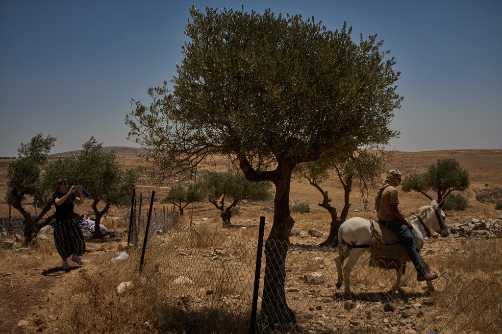 An Israeli activist records the presence of a settler as he moves with his donkey in front of a Palestinian house on the outskirts of the West Bank town of Taybeh, Thursday, June 25, 2026. (AP Photo/Leo Correa)