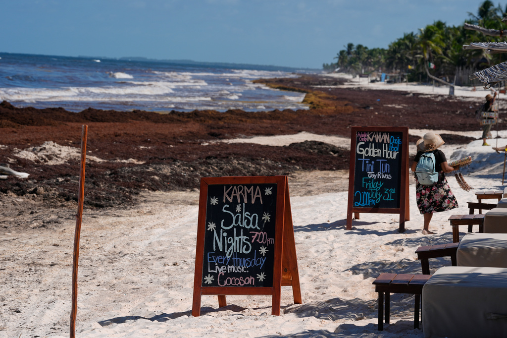 Promotional boards are displayed near to a beach covered with sargassum in Tulum, Mexico, Thursday, July 30, 2026. (AP Photo/Fernando Llano)