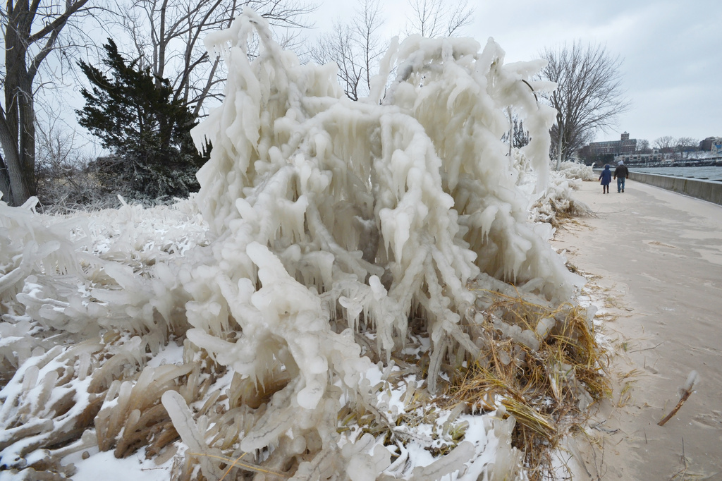 A couple explore a field of ice-covered dune grass Tuesday, Dec. 30, 2025, at Tiscornia Beach in St. Joseph, Mich., after a winter storm moved through Southwest Michigan.(Don Campbell /The Herald-Palladium via AP)