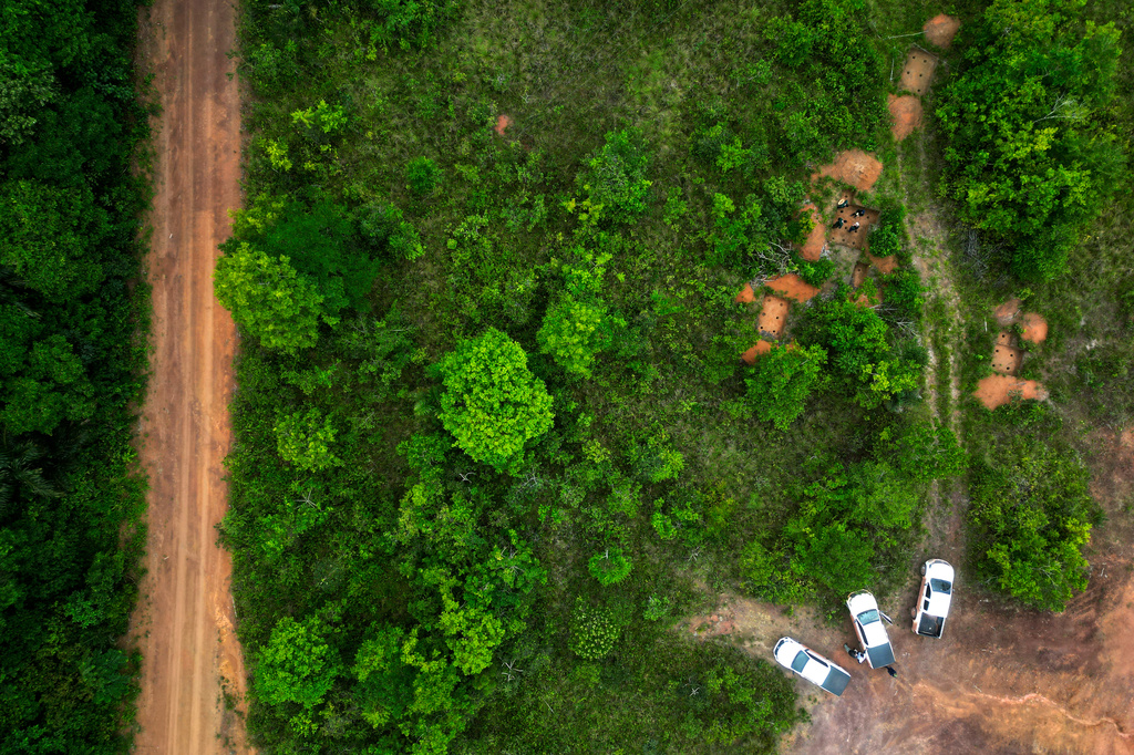 Archaeologists conduct a technical visit at Quintela archaeological site in the Vila Nova community along the BR-156 highway in Santana, Amapa state, Brazil, Saturday, March 14, 2026. (AP Photo/Eraldo Peres)