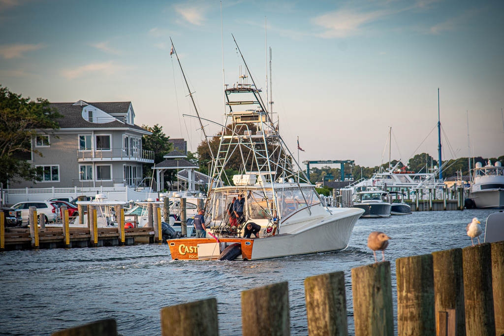 This photo provided by Jimmy Fee shows the crew of the Castafari arriving in Falmouth Harbor with a giant blue marlin, Wednesday, Aug. 19, 2026, in Falmouth, Mass. (Jimmy Fee via AP)