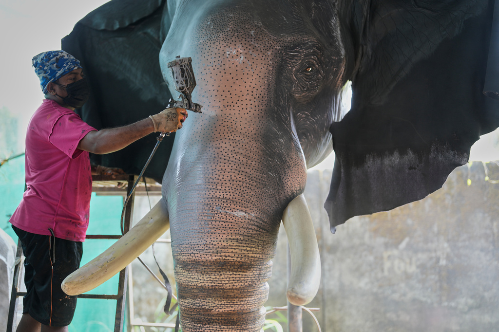 A worker sprays paint on a robotic elephant at a backyard workshop in Chalakudy, in the southern Indian state of Kerala, Friday, May 22, 2026. (AP Photo/Aijaz Rahi)
