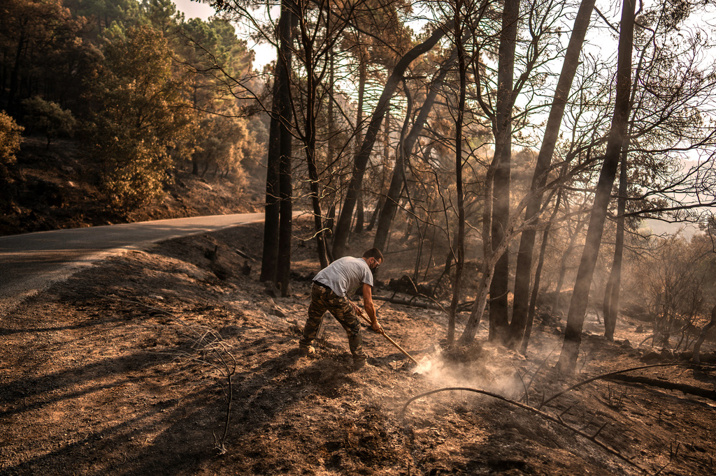 A man works to extinguish hot spots in an area burned by a wildfire near Casavieja, Ávila province, Spain, Wednesday, July 29, 2026. (AP Photo/Olmo Calvo)