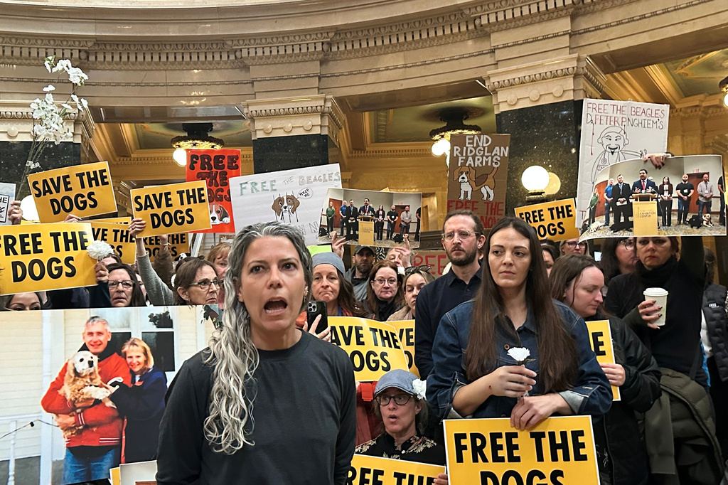 Rebekah Robinson, the president of Dane4Dogs, center left, speaks at a protest at the Wisconsin State Capitol demanding that the governor and attorney general do what they can to shut down a beagle breeding and research facility, Monday, April 20, 2026, in Madison, Wis. (AP Photo/Scott Bauer)