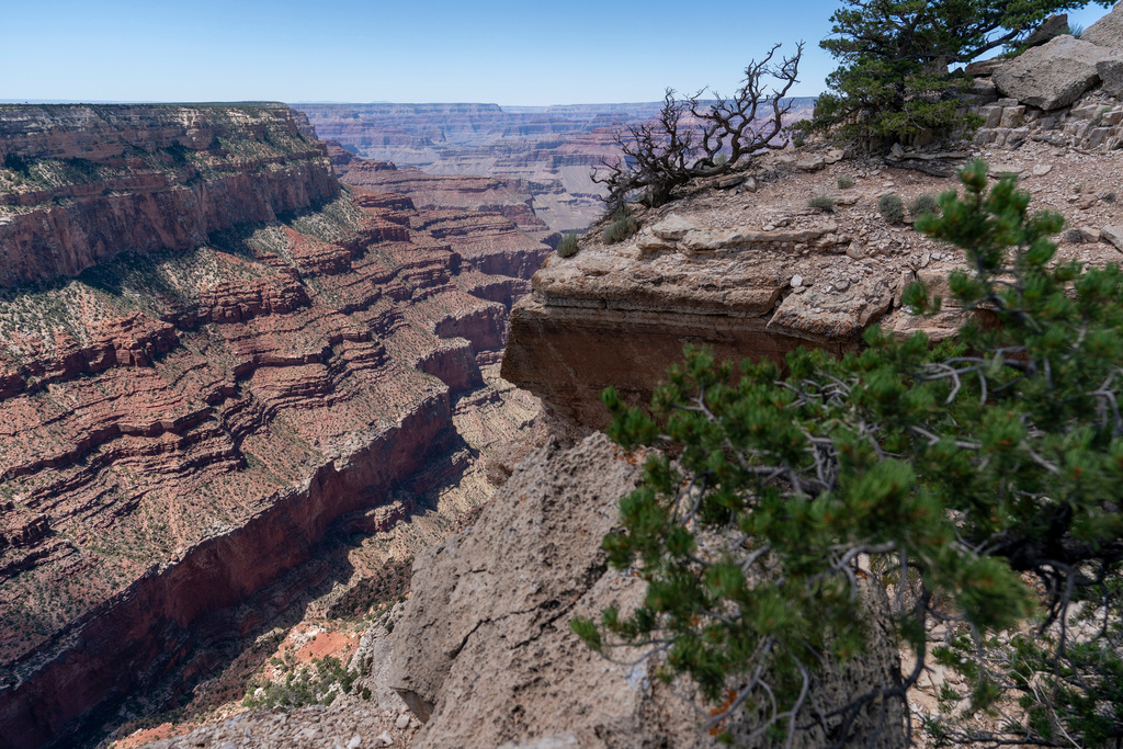 FILE - The South Rim of Grand Canyon National Park is seen in Grand Canyon Village, Ariz., Aug. 8, 2023. (AP Photo/Alex Brandon, File)