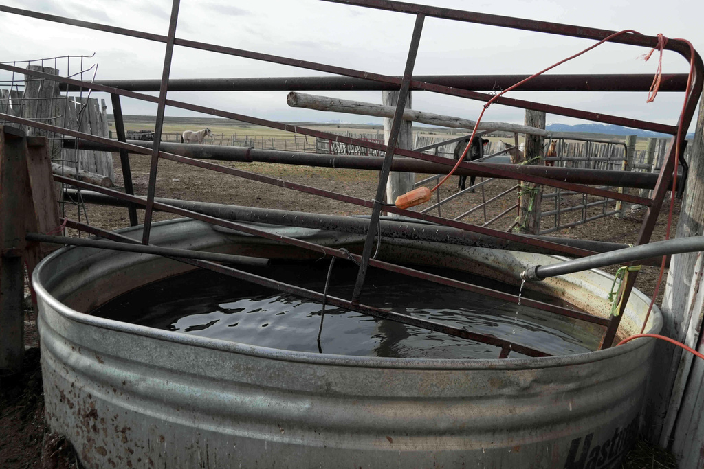 Domestic well water fills a stock tank, Tuesday, March 31, 2026, in Walden, Colo. (AP Photo/Brittany Peterson)