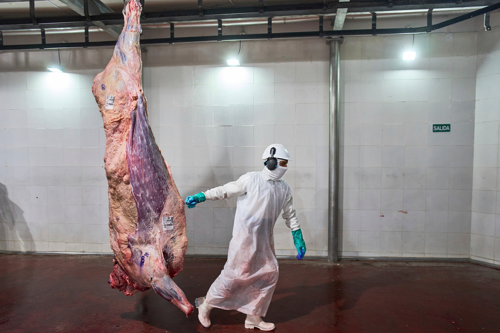 A worker pulls a carcass at the Frigolar beef processing plant in La Plata, Argentina, Nov. 6, 2025. (AP Photo/Rodrigo Abd)
