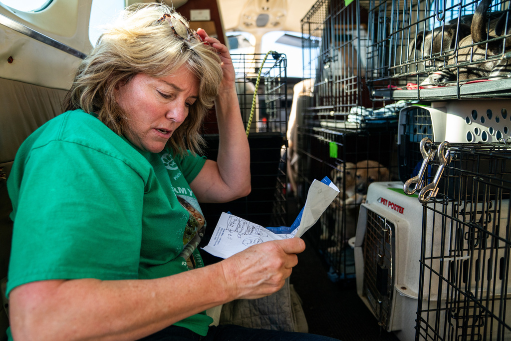 Sydney Galley, co-founder and CEO of Seuk’s Army, goes over her list of pets brought from an overwhelmed Southern animal shelter to be flown to a foster and rescue groups farther north, at Culpeper Regional Airport in Brandy Station, Va., Nov. 23, 2025. (AP Photo/Allison Robbert)