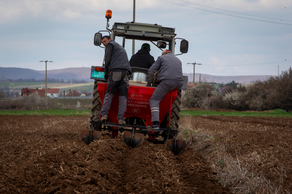Farmers of Pestova firm on the back of a tractor plant potatoes in the village of Pestove, Kosovo on March 26, 2026. (AP Photo/Visar Kryeziu)