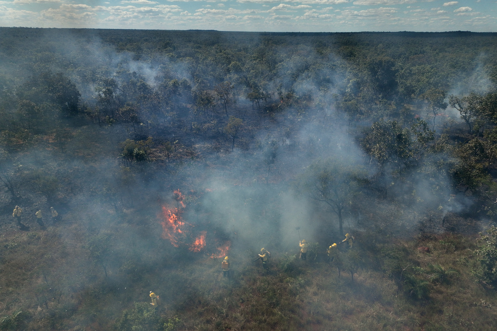 Xerente Indigenous firefighters attend a controlled burn as part of a fire prevention operation along Brazil's environmental protection agency, IBAMA, at the Xerente territory, near Tocantinia, Tocantins state, Brazil, Tuesday, May 19, 2026. (AP Photo/Andre Penner)