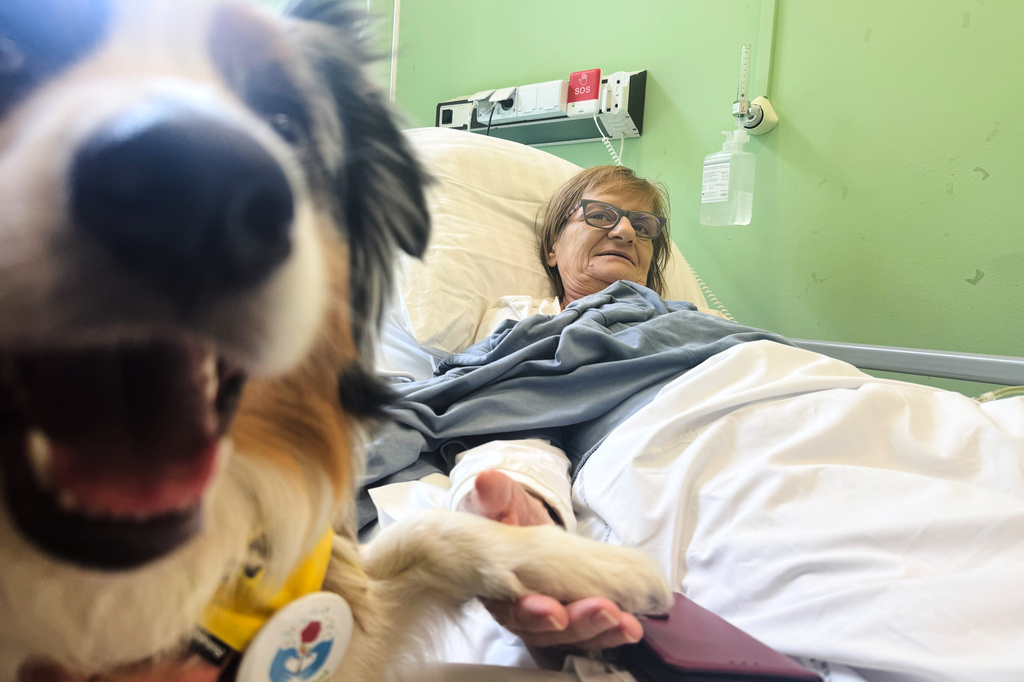 Patient Ewa Lutka-Krawczyk holds the paw of Australian shepherd therapy dog Kluska at the Palliative Medicine Clinic at the Medical University of Warsaw, Poland, Monday, June 15, 2026. (AP Photo/Rafal Niedzielski)