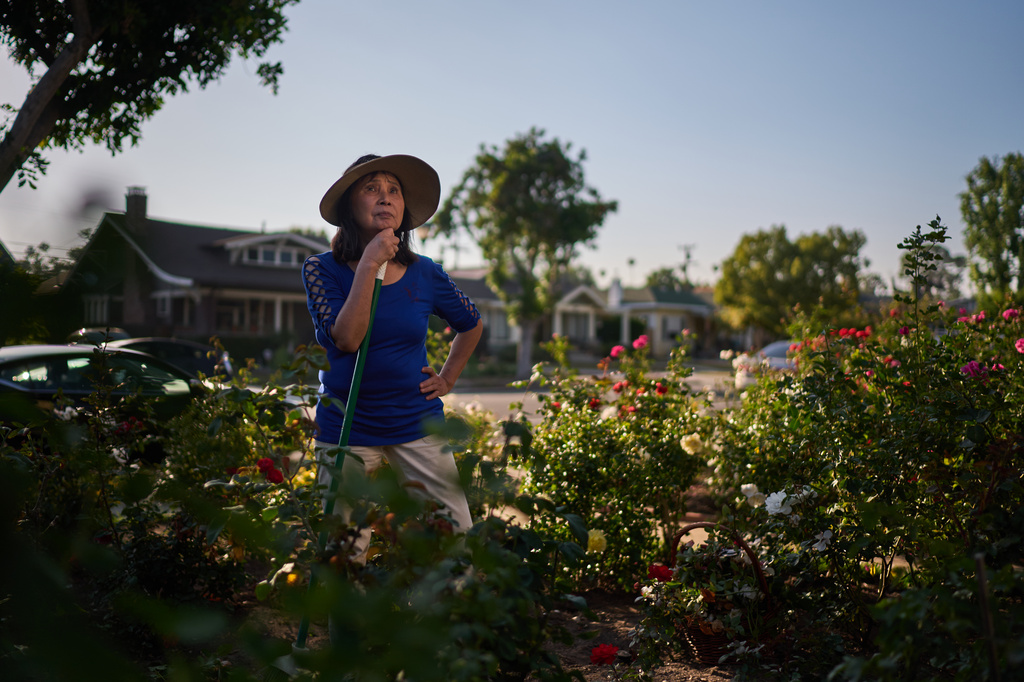 Alice Lin, center, who fought back to recover some of the $720,000 she and her late husband had saved over their lifetime which was stolen by an online scammer, rests for a moment while working in her rose garden, Saturday, May 9, 2026, in Alhambra, Calif. (AP Photo/David Goldman)