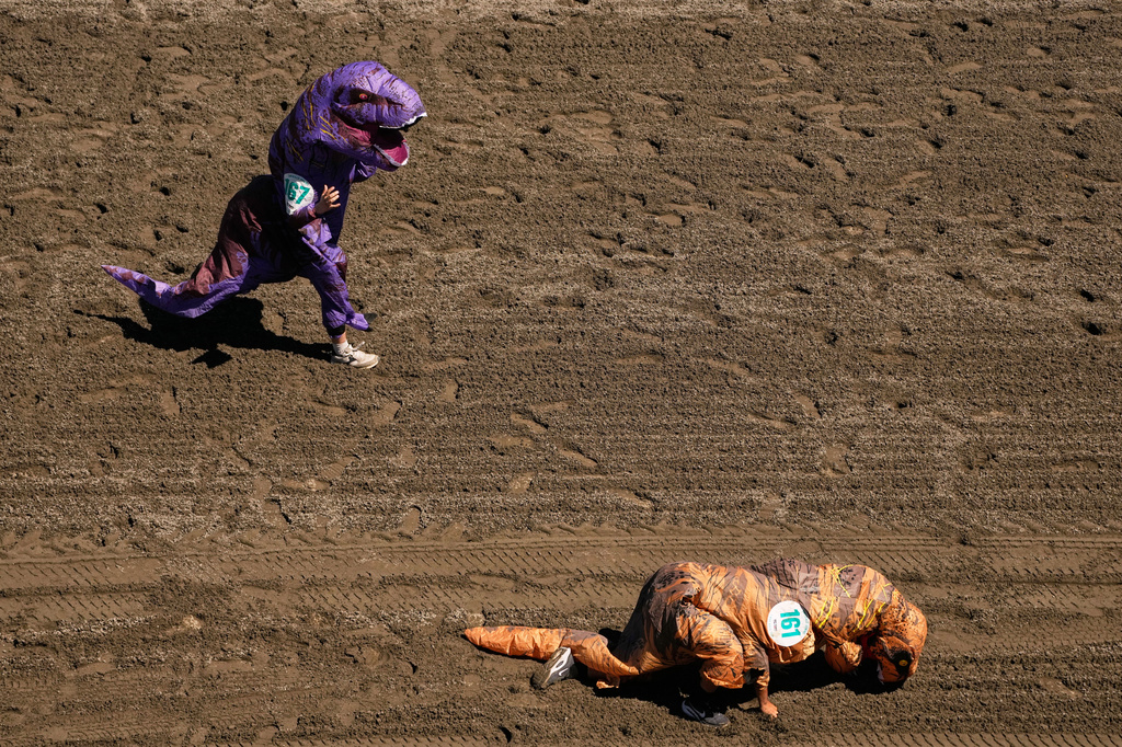 A participant face-plants while running in the preliminary heats during the T-Rex World Championship Races at Emerald Downs, Sunday, July 12, 2026, in Auburn, Wash. (AP Photo/Lindsey Wasson)