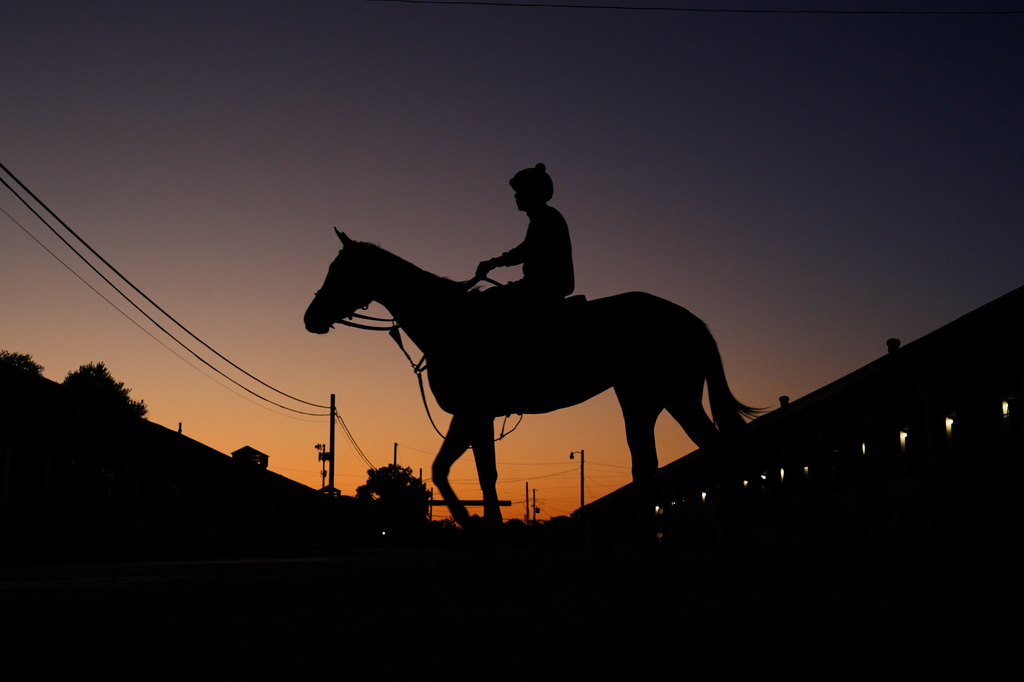A horse heads to the track for a workout at Churchill Downs Thursday, April 30, 2026, in Louisville, Ky. (AP Photo/Charlie Riedel)