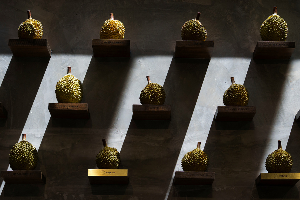 Durians are displayed on a wall at KLDEX (Kuala Lumpur Durian Experience Centre) in Kuala Lumpur, Malaysia, Friday, June 26, 2026. (AP Photo/Vincent Thian)