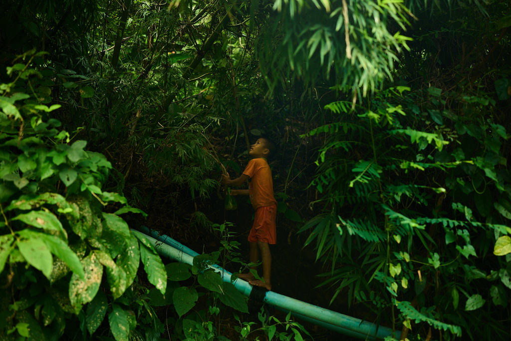 A child refugee from Myanmar stands on a water pipe while foraging for food in a forest near the Mae La refugee camp in the Tak province of Thailand, Thursday, Aug. 28, 2025. (AP Photo/Bram Janssen)