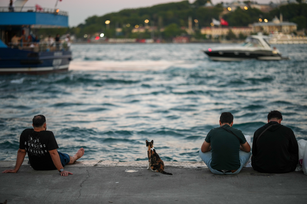 A stray cat sits next to people at the Karakoy sea promenade by the Bosphorus in Istanbul, Turkey, Wednesday, June 24, 2026.(AP Photo/Emrah Gurel)