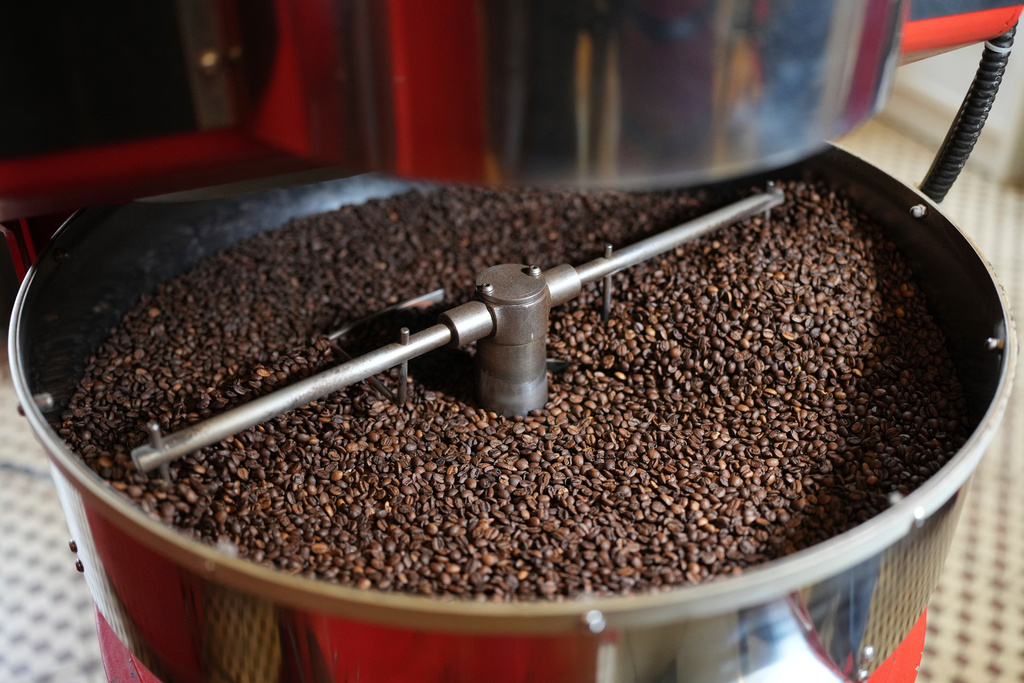 FILE - Coffee beans are prepared at a farm in Braganca Paulista, Brazil, Monday, Aug. 4, 2025. (AP Photo/Andre Penner, File)