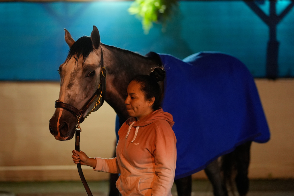 Kentucky Derby entrant Fulleffort is led away after getting a bath following a workout at Churchill Downs Monday, April 27, 2026, in Louisville, Ky. (AP Photo/Charlie Riedel)