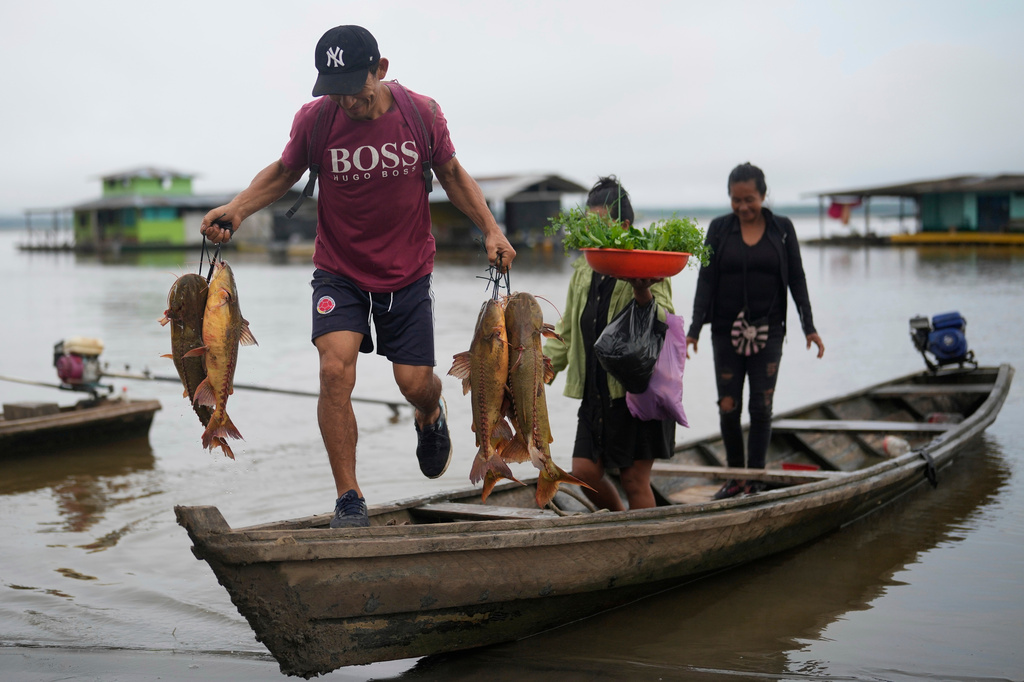 FILE - A man unloads fresh fish from a boat in Puerto Narino, Colombia, along the Amazon River, Sept. 7, 2025. (AP Photo/Fernando Vergara, File)