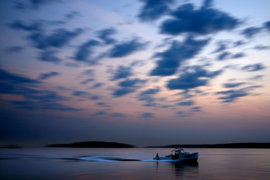FILE - A lobster fishing boat motors out to sea under the dawn sky, Aug. 14, 2024, on Casco Bay in South Portland, Maine. (AP Photo/Robert F. Bukaty, File)