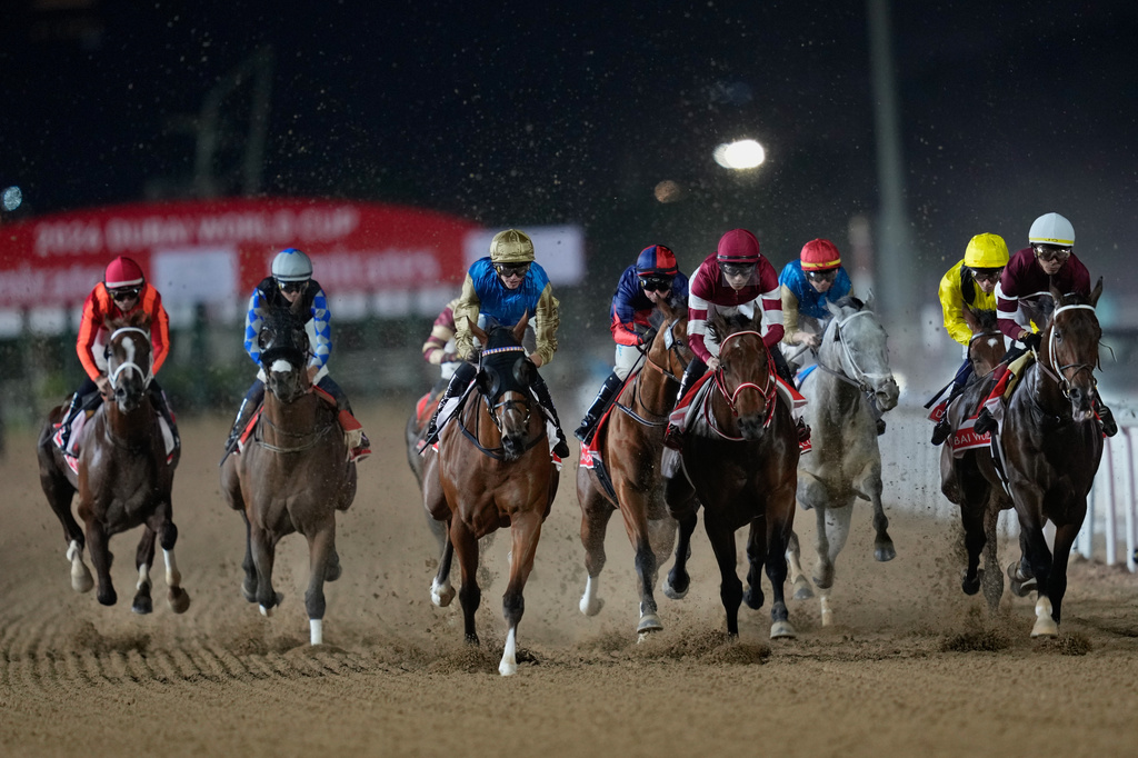 Magnitude, right, with jockey Jose Ortiz, leads after the field after the start on they way to winning the $12 million Dubai World Cup horse race over 2000m (10 furlongs) at Meydan Racecourse in Dubai, the United Arab Emirates, Saturday, March 28, 2026. (AP Photo/Altaf Qadri)
