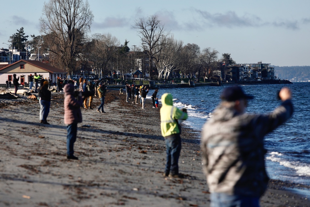 People watch a pod of orca whales swimming off Seattle on Friday, Jan. 16, 2026. The pod swam by the West Seattle neighborhood, attracting onlookers to shore. (AP Photo/Manuel Valdes)