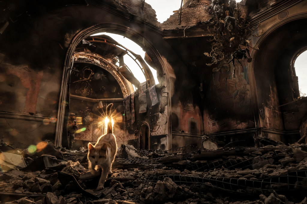 In this photo taken on Oct.13, 2025 and provided by Ukraine's 24th Mechanized Brigade press service, a cat walks inside the damaged church in Kostiantynivka, a frontline town where some 5000 people still stay with no water, electricity and gas supply in the site of heaviest battles with the Russian troops in the Donetsk region, Ukraine. (Oleg Petrasiuk/Ukraine's 24th Mechanized Brigade via AP)