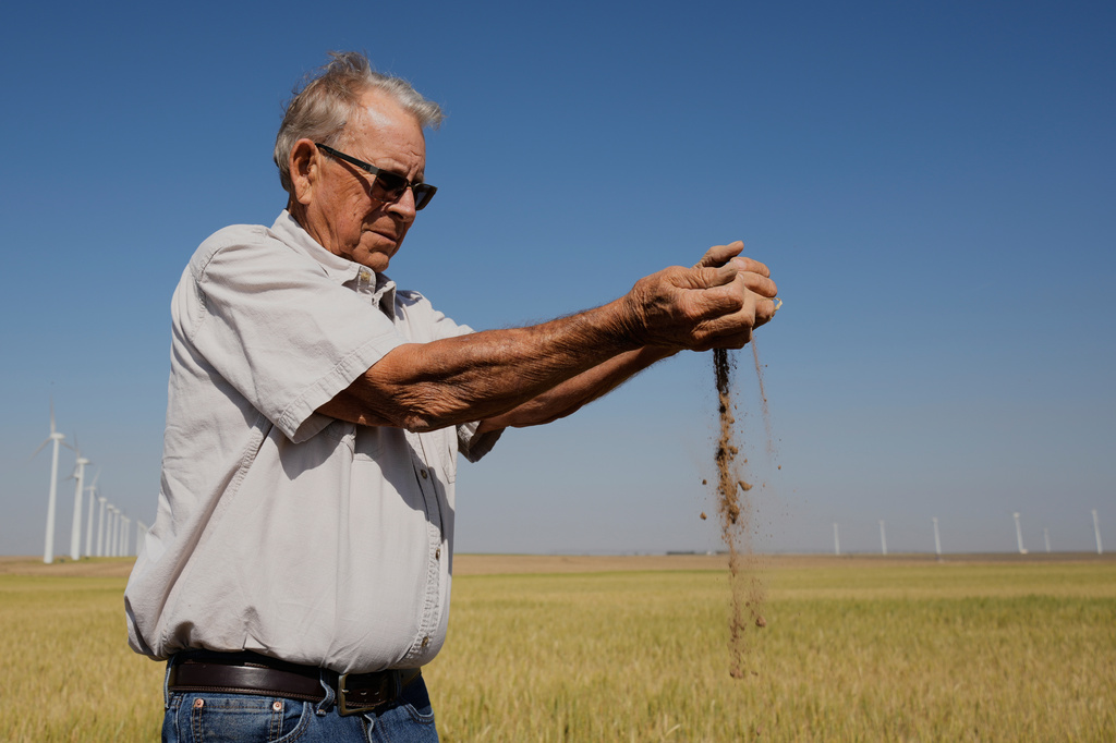 Farmer Orville Williams sifts powder dry soil as he checks the moisture in a drought-stressed wheat field Saturday, May 16, 2026, on his farm near Montezuma, Kan. (AP Photo/Charlie Riedel)