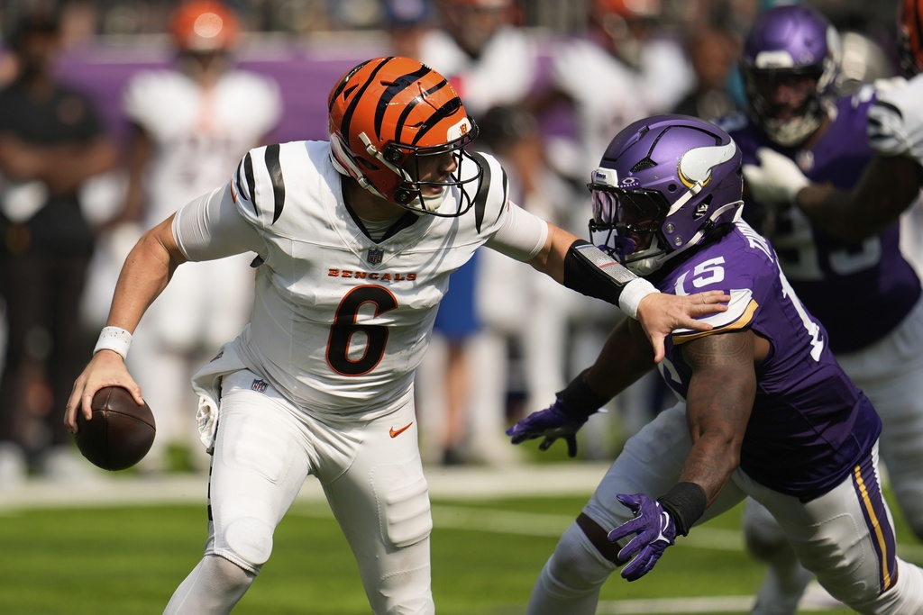Cincinnati Bengals quarterback Jake Browning (6) is chased by Minnesota Vikings linebacker Dallas Turner (15) during the second half of an NFL football game, Sunday, Sept. 21, 2025, in Minneapolis. (AP Photo/Mike Stewart)