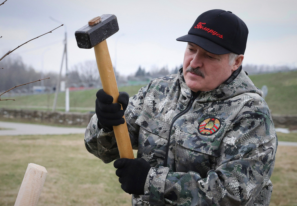 FILE - Belarus President Alexander Lukashenko plants young trees during a subbotnik, a Soviet-style Clean-up Day, in the village of Alexandria, Belarus, Saturday, April 17, 2021. (Maxim Guchek/BelTA Pool Photo via AP, File)