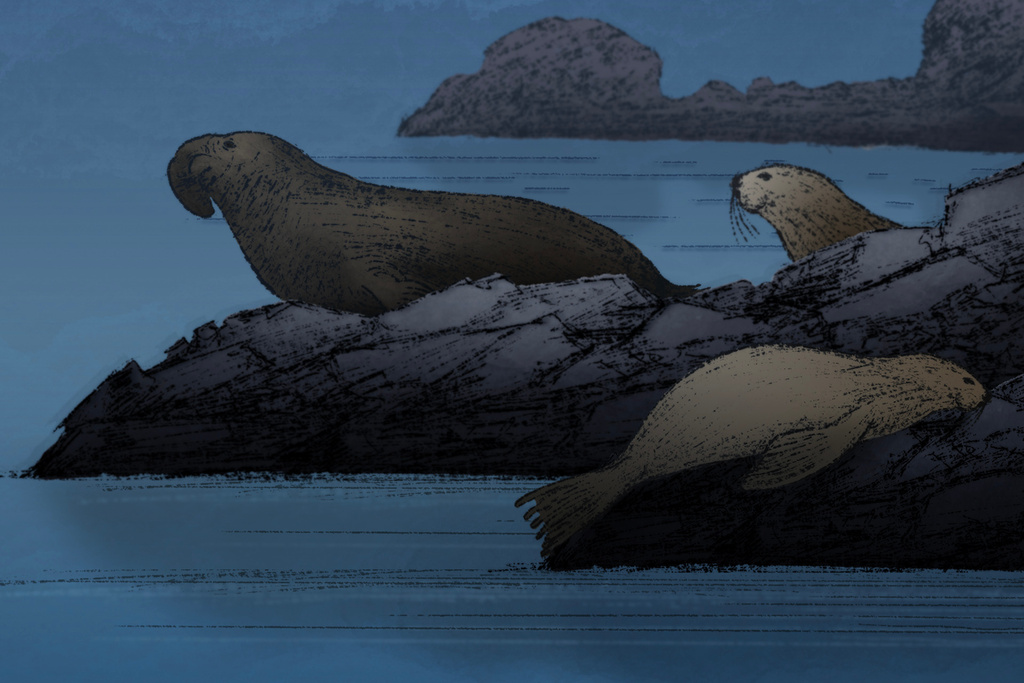 (AP Illustration / Peter Hamlin)