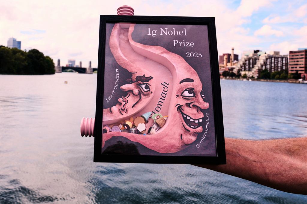 FILE - An 2025 Ig Nobel award, one of many that will be awarded by the Annals of Improbable Research magazine for silly sounding scientific discoveries that often have surprisingly practical applications, is displayed, Sept. 17, 2025, in Boston. (AP Photo/Charles Krupa, File)