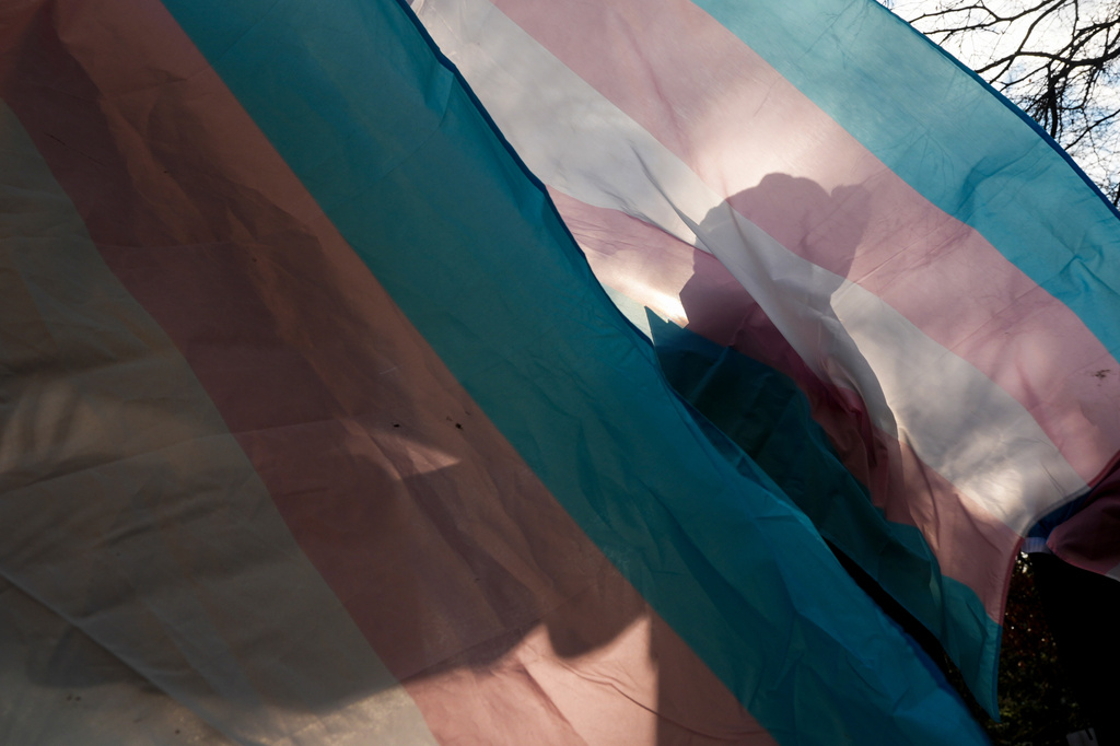 FILE - A protester is silhouetted against a trans pride flag during a pro-transgender rights protest outside of Seattle Children's Hospital, Feb. 9, 2025, in Seattle. (AP Photo/Lindsey Wasson, File)
